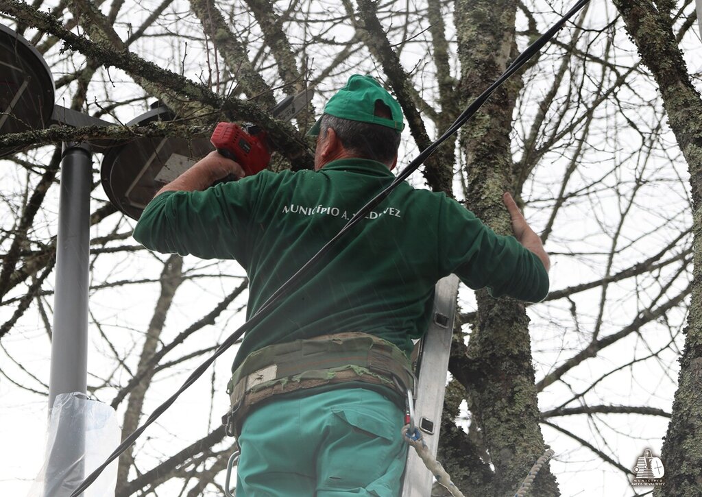 Município de Arcos de Valdevez planta Cerejeiras na Avenida do Recontro
